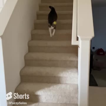 Han chasing ball in slow motion shows off athleticism