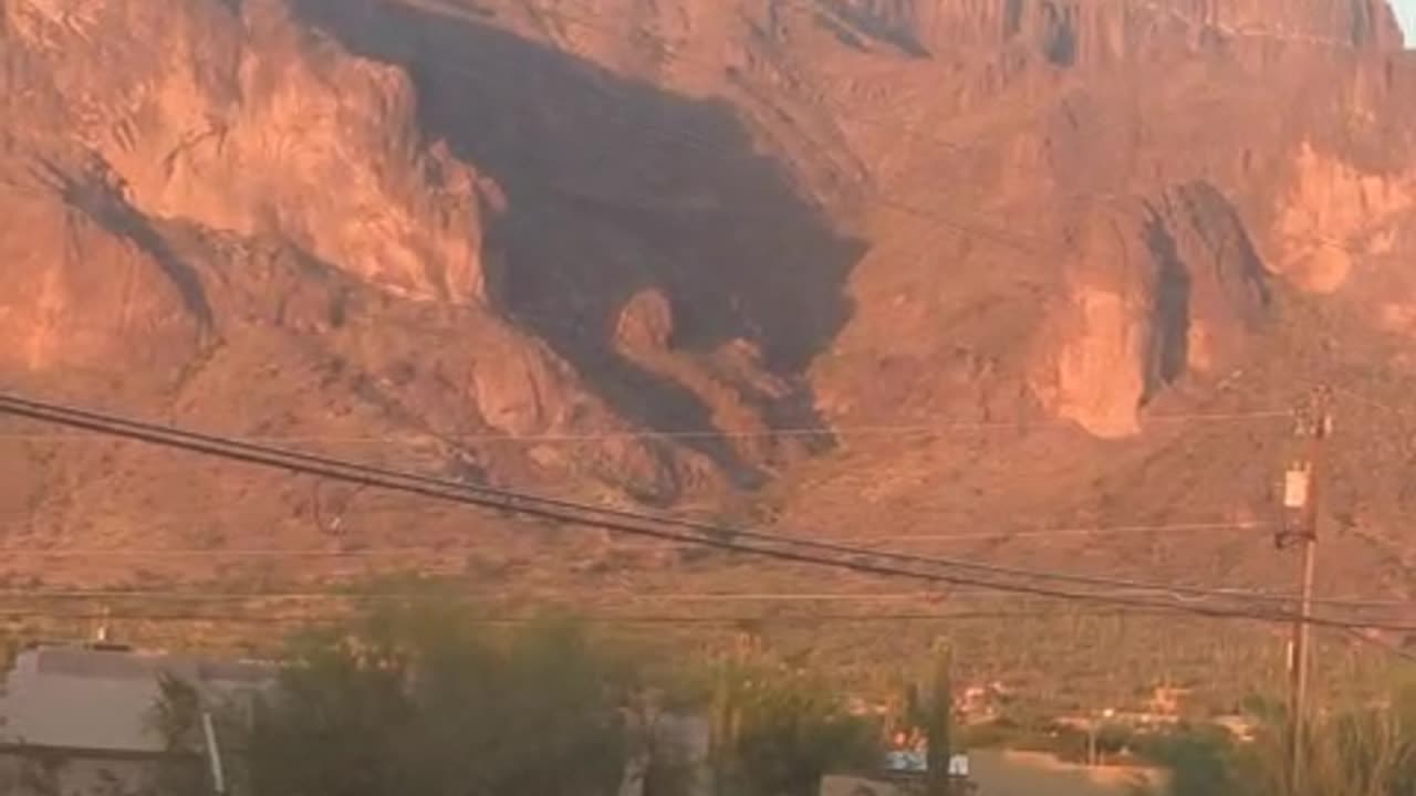Cougar shadow superstition mountains