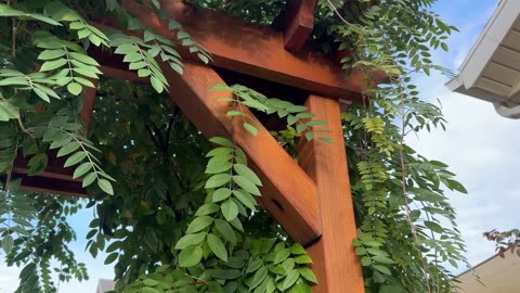 How to Build a Garden Arbor | Step-By-Step Guide