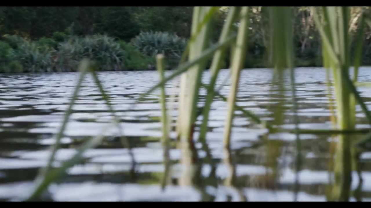 Netflix movie