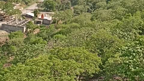 Nature lovers like it