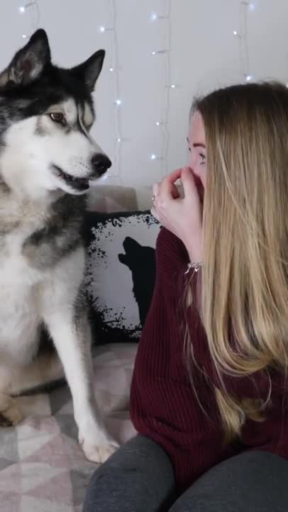 Cute puppy and Short video