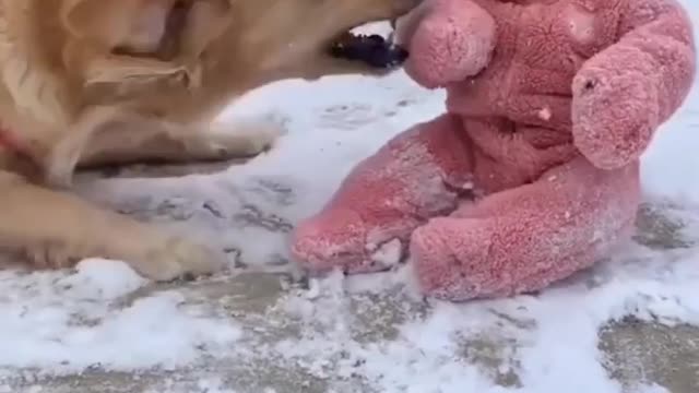 BABY AND DOG IN THE DAY AND HAPPY MOMENT