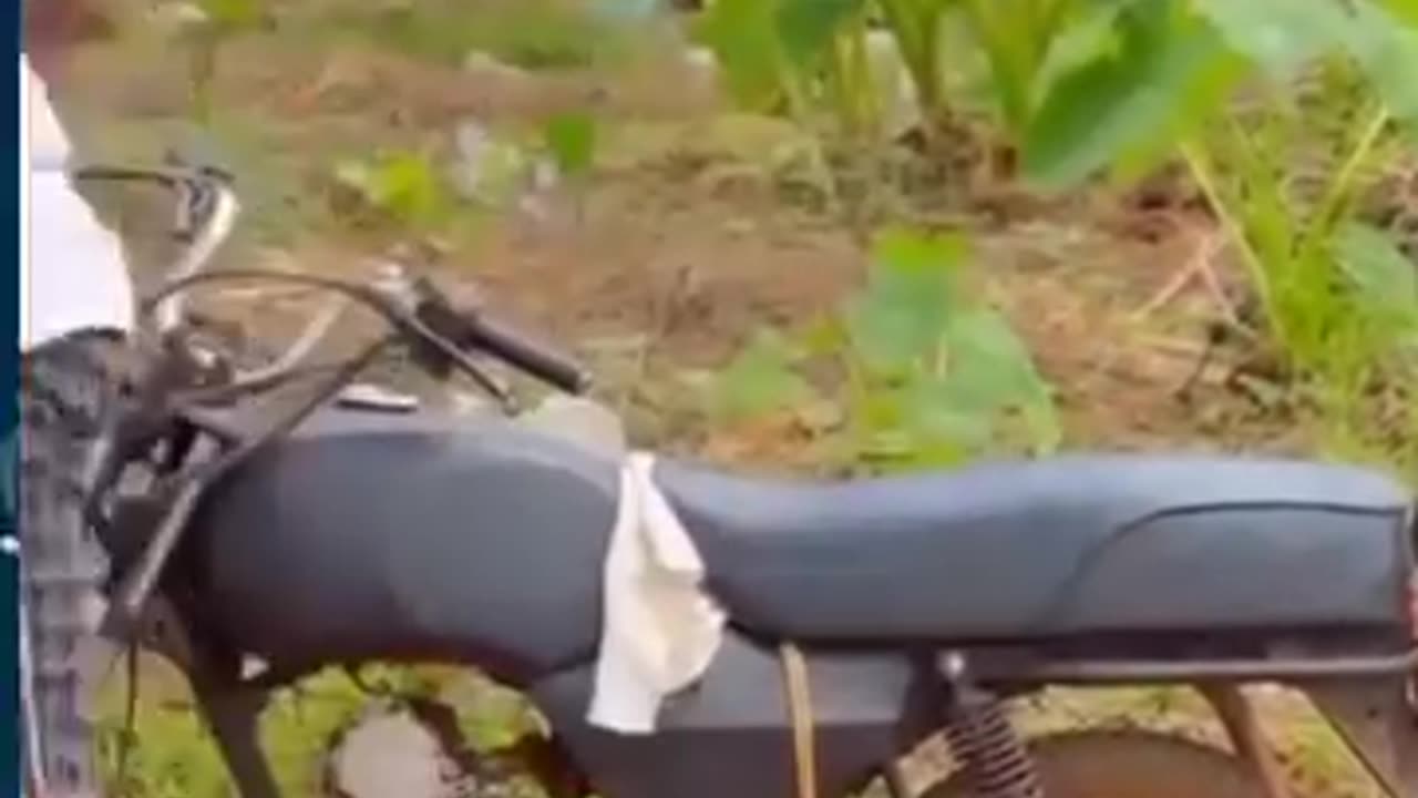 Funny Compilation
