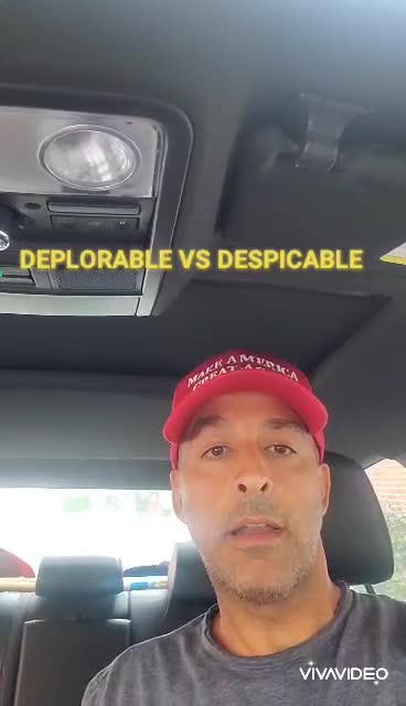 Deplorable vs a Despicable