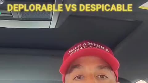 Deplorable vs a Despicable