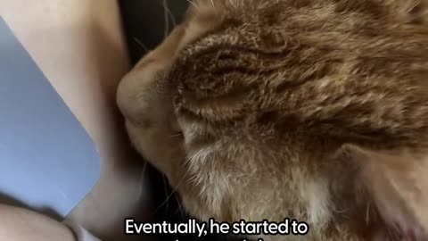 Senior learns what love is for the first time ❤️