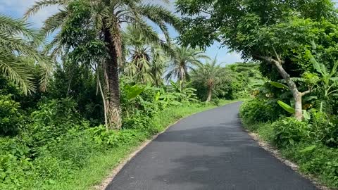 Village Roade In Bangladesh