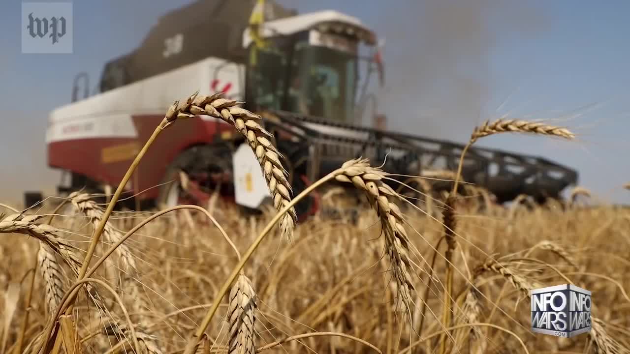 The Great Reset Food Apocalypse