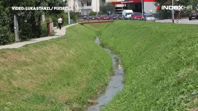 Zagreb: Mutnim potokom Kustošak plutaju mrtve ribe