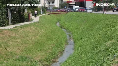 Zagreb: Mutnim potokom Kustošak plutaju mrtve ribe