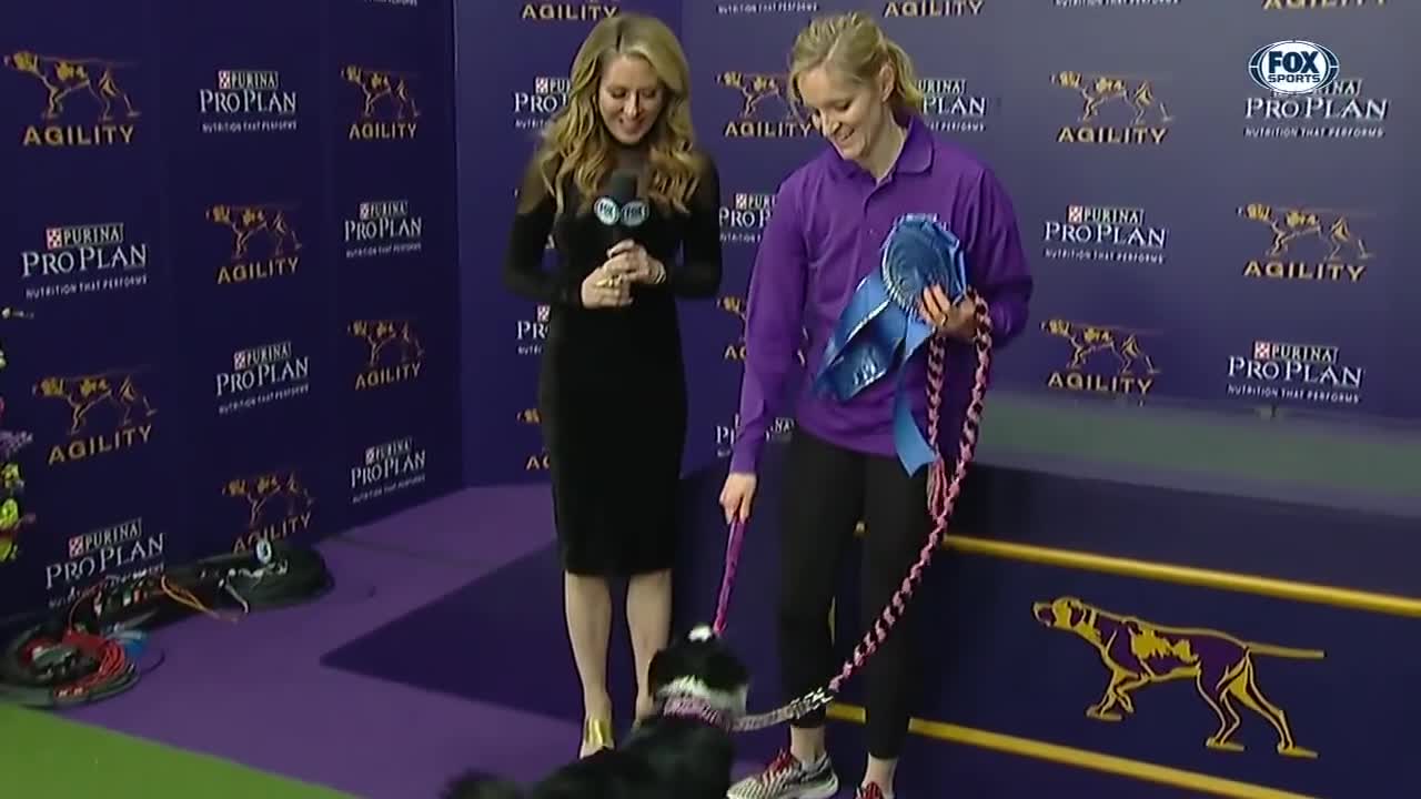 P!nk the border collie wins back-to-back titles at the 2019 WKC Masters Agility | FOX SPORTS