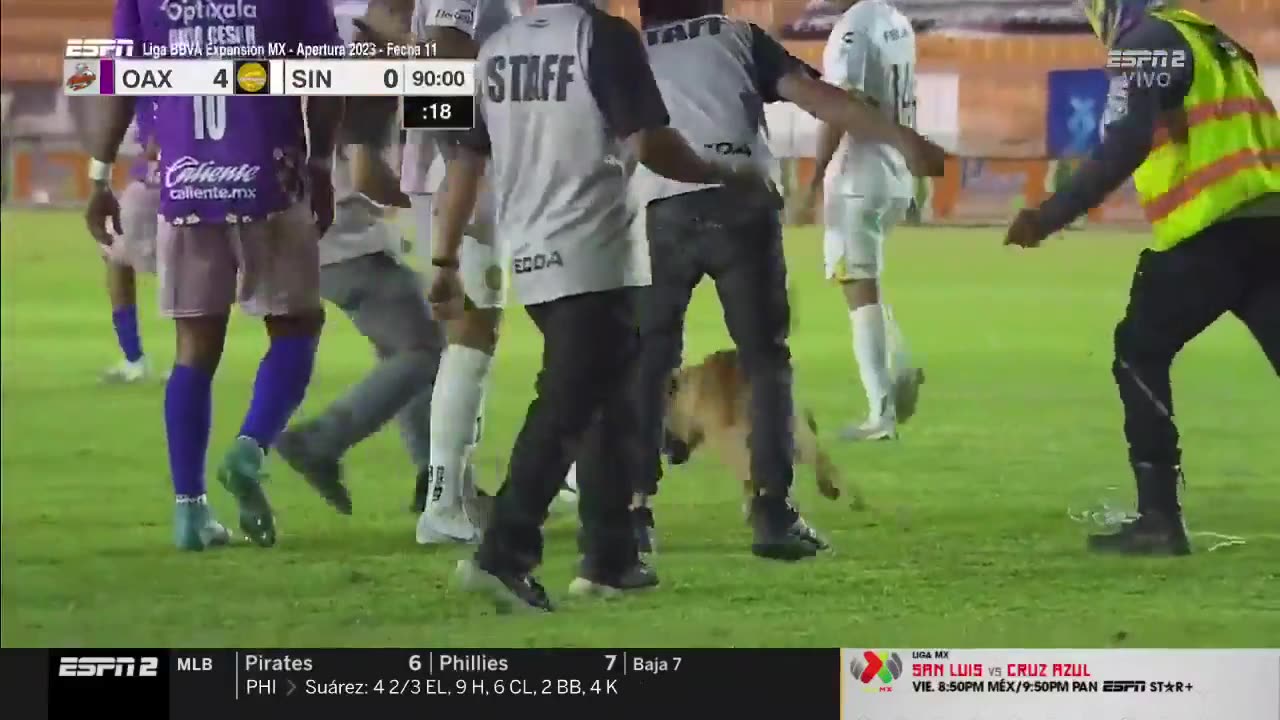 🐶 Funny | Canine Capers: Pitch-Invading Dog Embarrasses Security! | FunFM