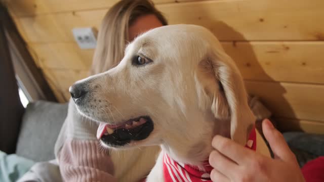 Couple and Dog Relaxing at Home.this video is funny @hlachai#canada