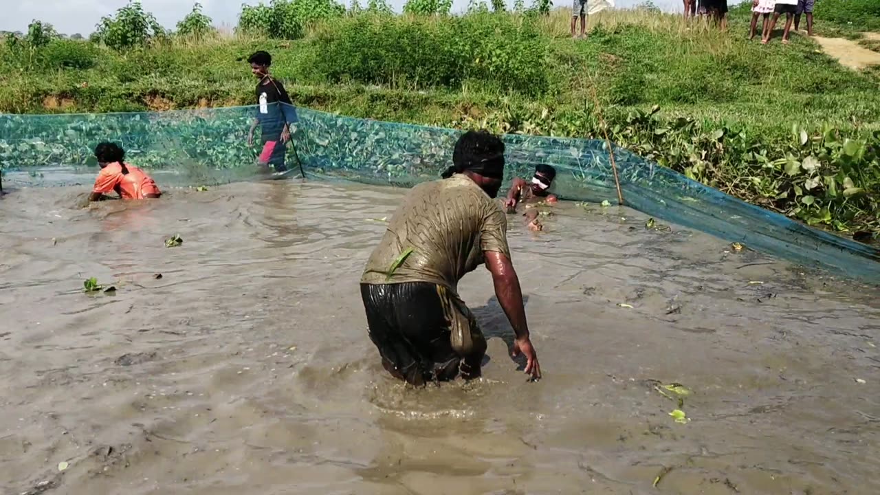 Duck catch on the water