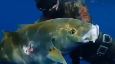 This is a beautiful and charming water-dwelling species