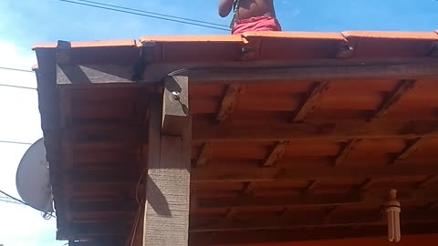 Young Child Playing on Roof and Dad Saves Him