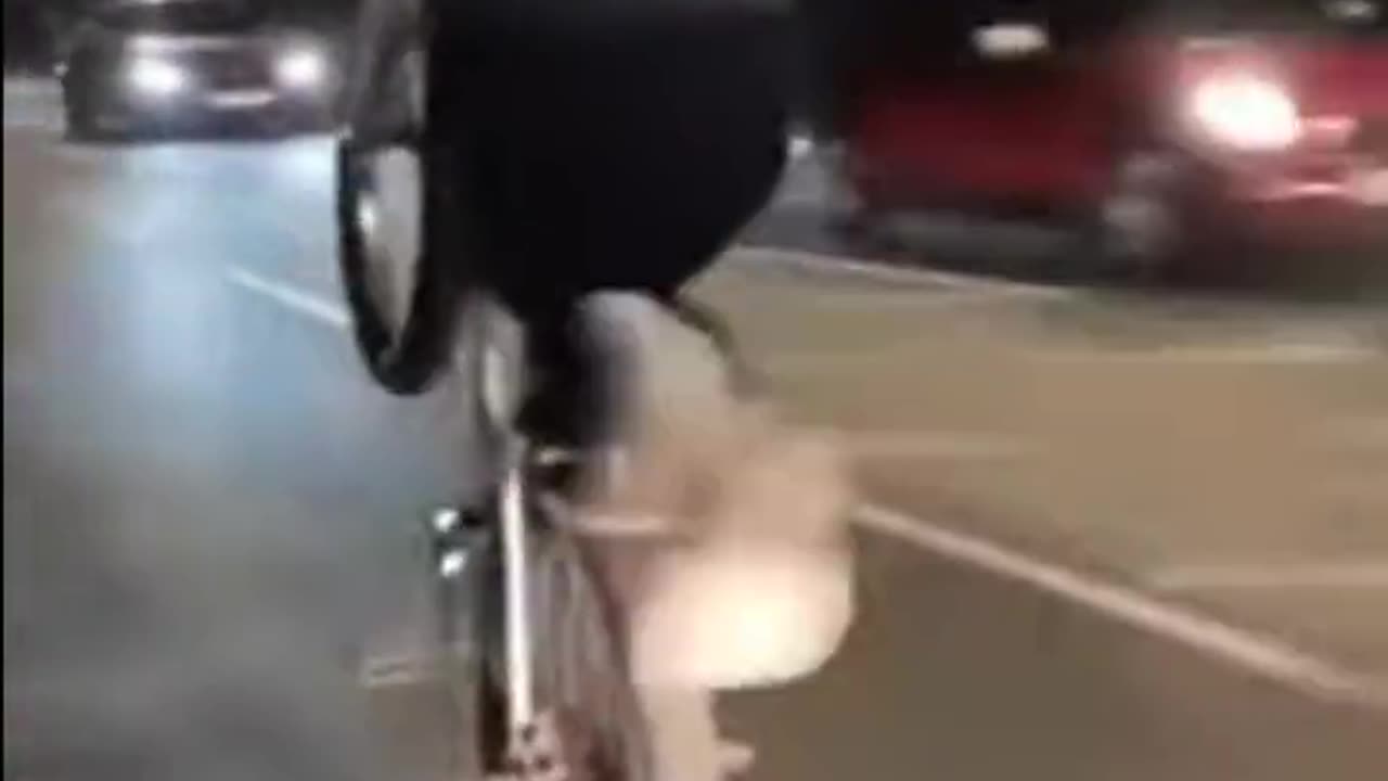 Don't Play in Traffic