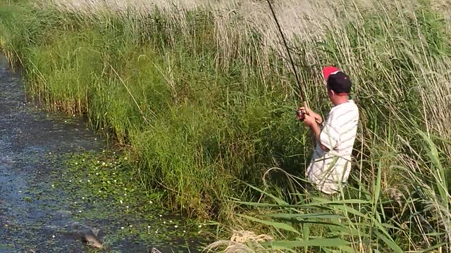 snakehead fishing