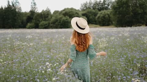 The woman traveler