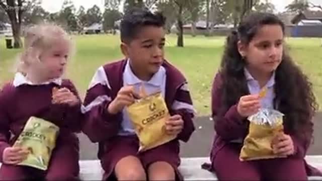 Australian schools introduce bug-based chips into their lunch programs 🤢