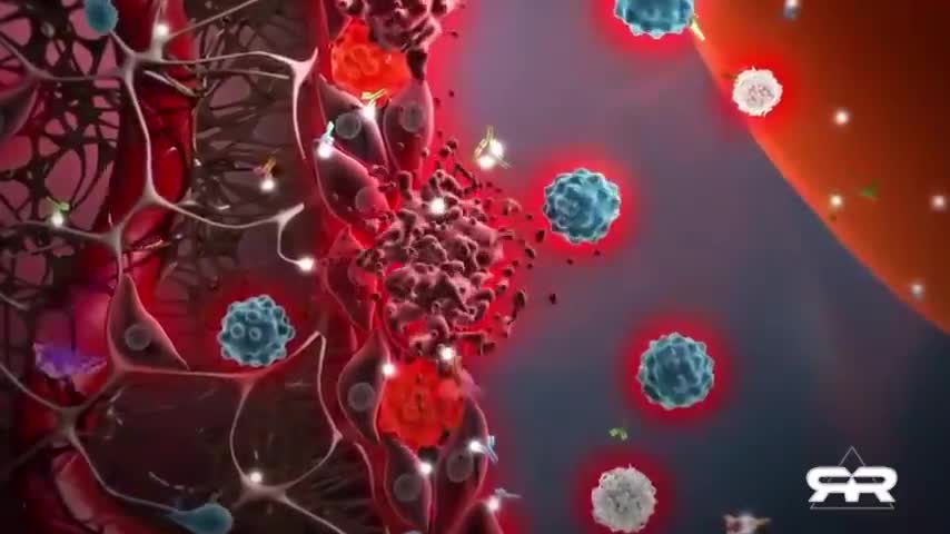 Irrefutable Evidence The COVID 19 Vaccines Are Killing People!