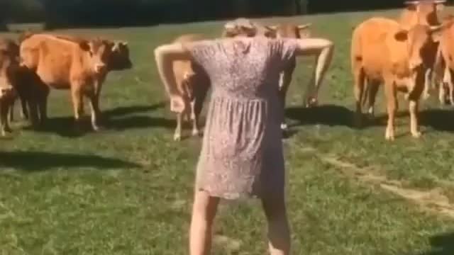 cow is Fear in human sooo funny