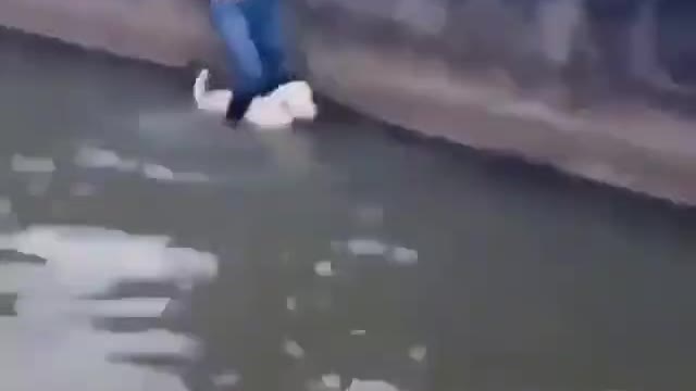 Great job....