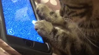 Tattoo loves playing games on phones