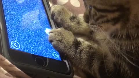 Tattoo loves playing games on phones