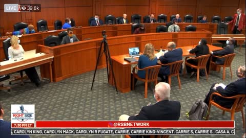 2020 Election - Michigan hearing - Representative C. A. Johnson intimidates a witness