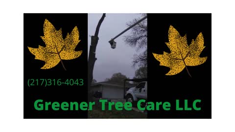 Greener Tree Care LLC