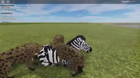 Hyenas Hunt and Take Down Zebra