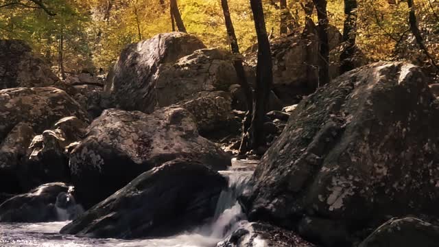a-rocky-river-in-the-forest