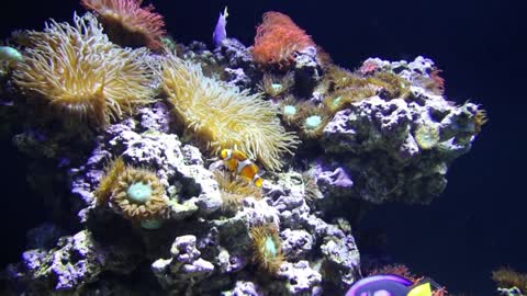 Water world water life