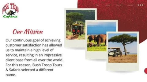 Your Gateway to Memorable Safari Adventures