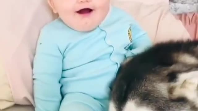 Cutest baby animals Videos Compilation Cute moment of the Animals episode : 20