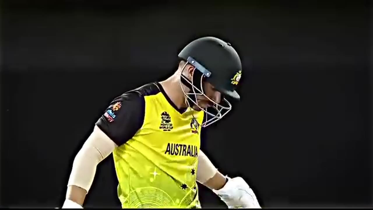 cricket video