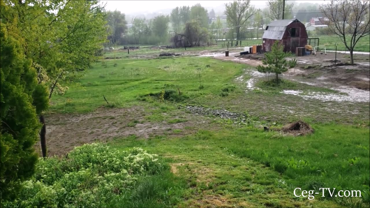 Graham Family Farm: Rain Stops Work