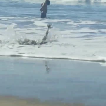 Little girl standing on boogie board faceplanted by wave
