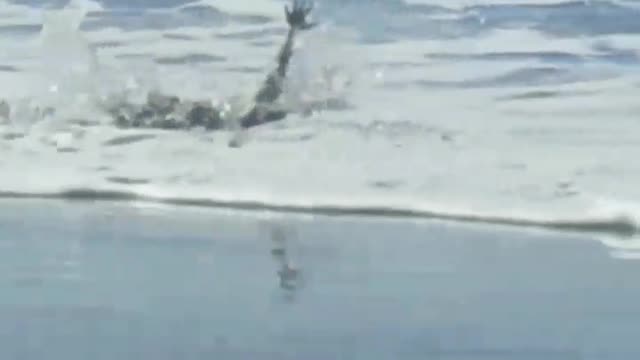 Little girl standing on boogie board faceplanted by wave