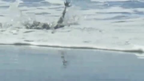 Little girl standing on boogie board faceplanted by wave