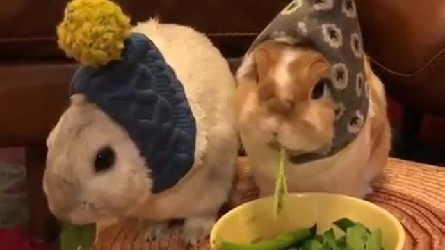 Eat with relish