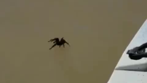 Combining Fears