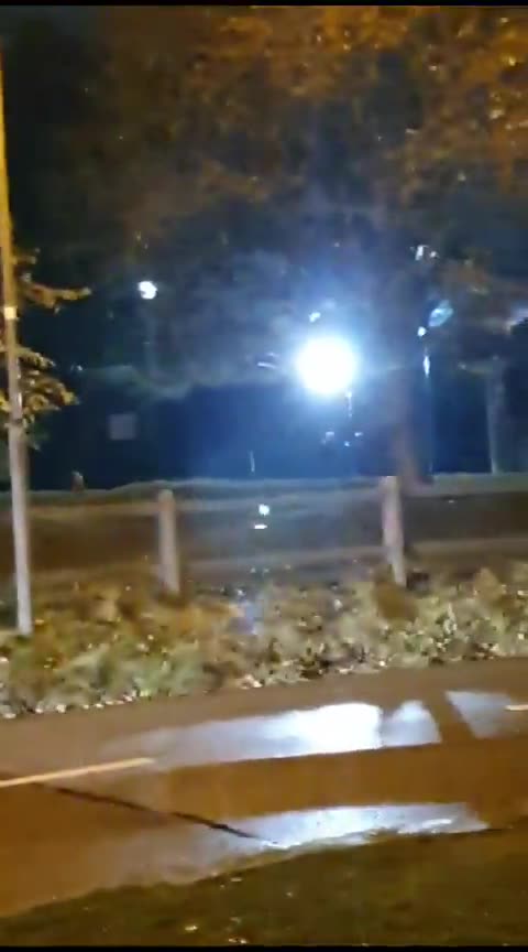 Dublin - Another feral invader outpost located in Ireland