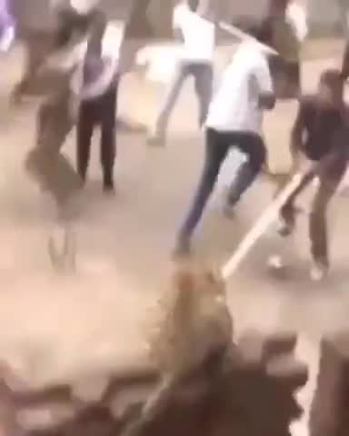 When-in-work-you-click-on-an-ad-about-cougars-in-your-neighb