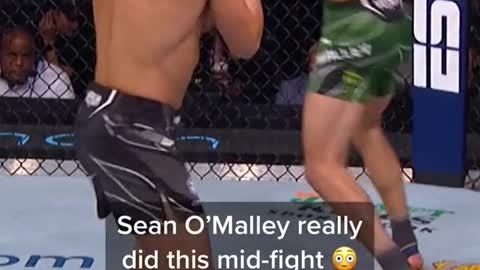 Sean O'Malley really did this mid-fight