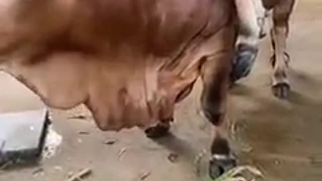 50 milhões visualizações