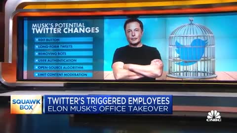 Elon Musk faces backlash after targeting Twitter lawyer- Report