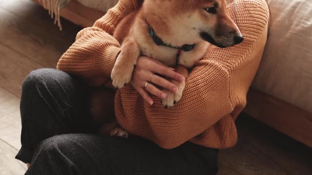 cute dog video
